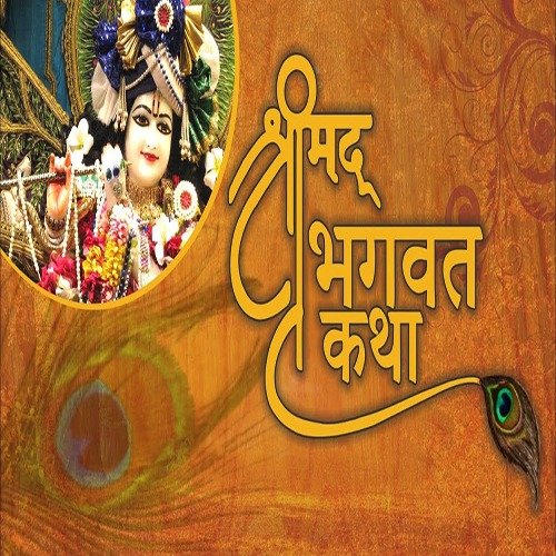 WhatsApp Image 2025-05-29 at 15.52.24