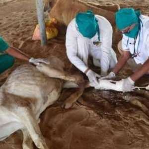 treatment sewa